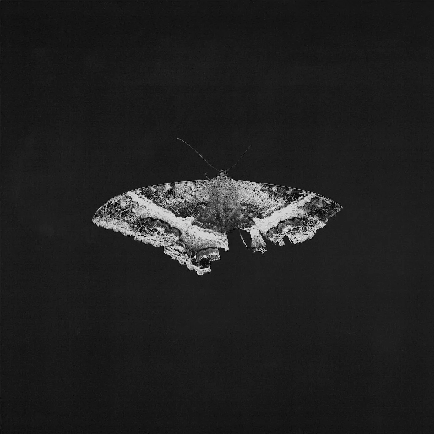 To Pimp A Butterfly (10 Year Anniversary Edition Vinyl) - Image 2