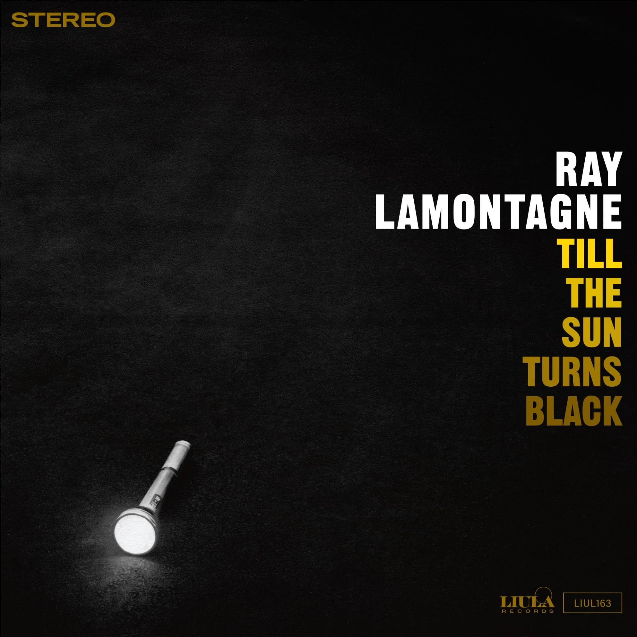 Till the Sun Turns Black (Vinyl)