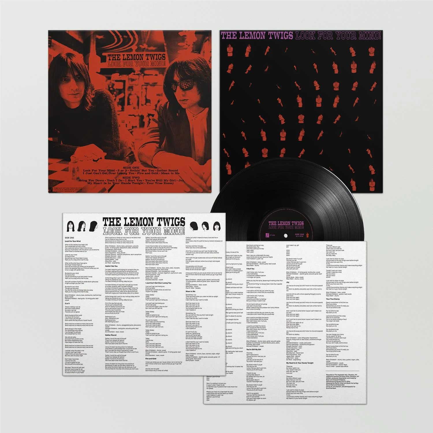 Look For Your Mind! (Vinyl)