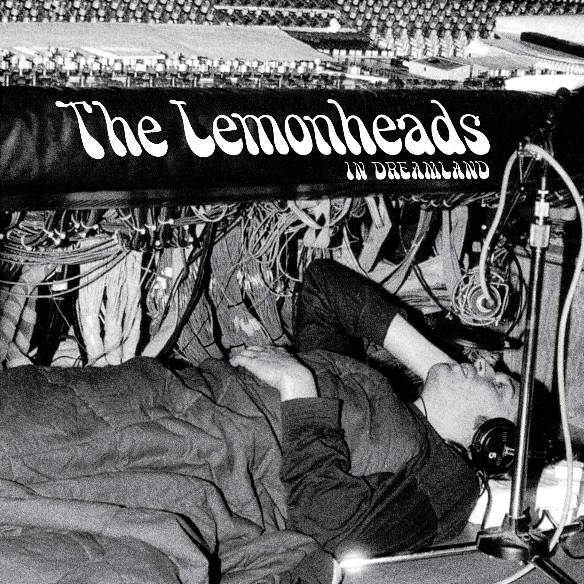 Lemonheads In Dreamland (Vinyl) - Image 2