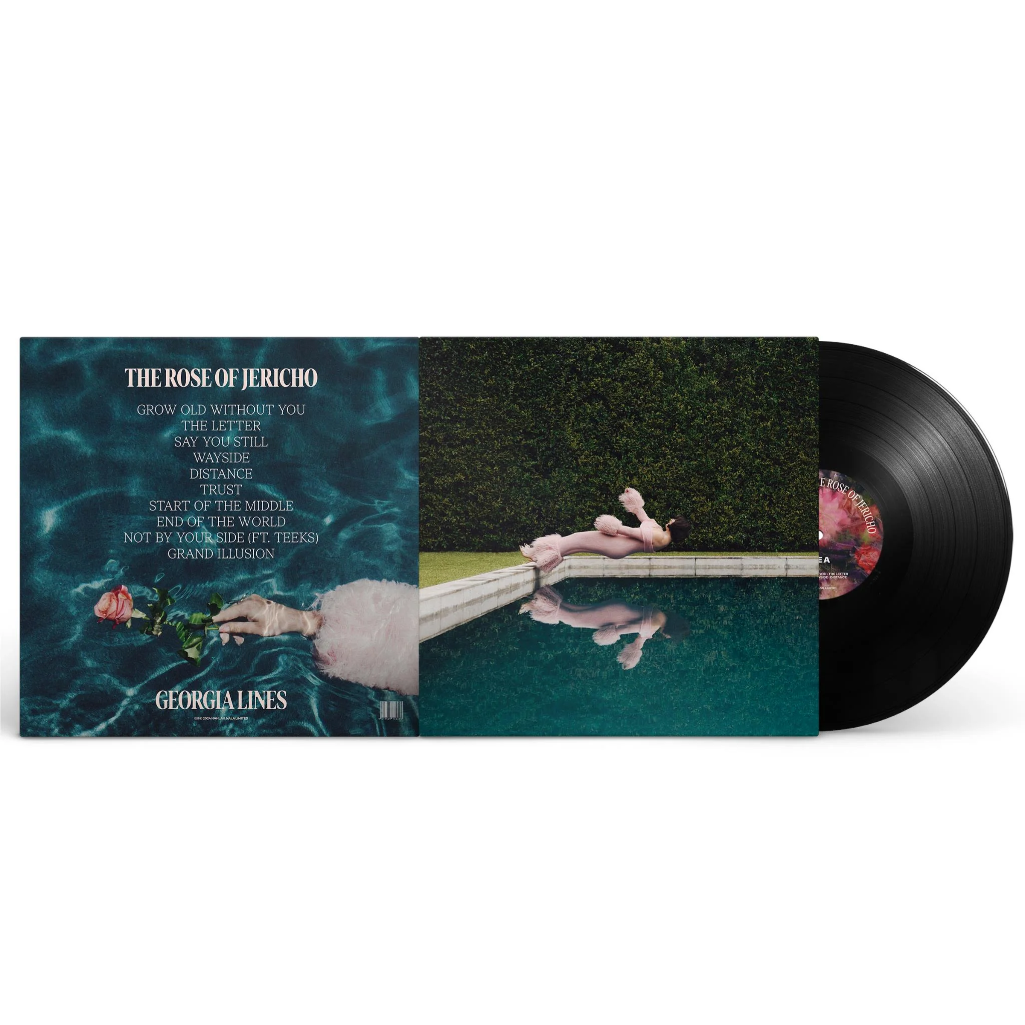 The Rose Of Jericho (vinyl) - Image 2