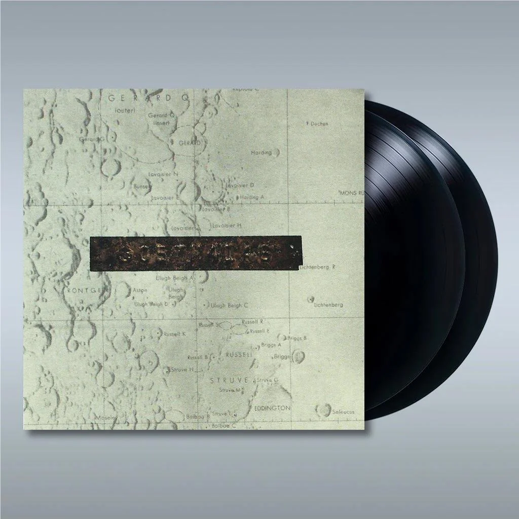 Things We Lost In The Fire (Vinyl)