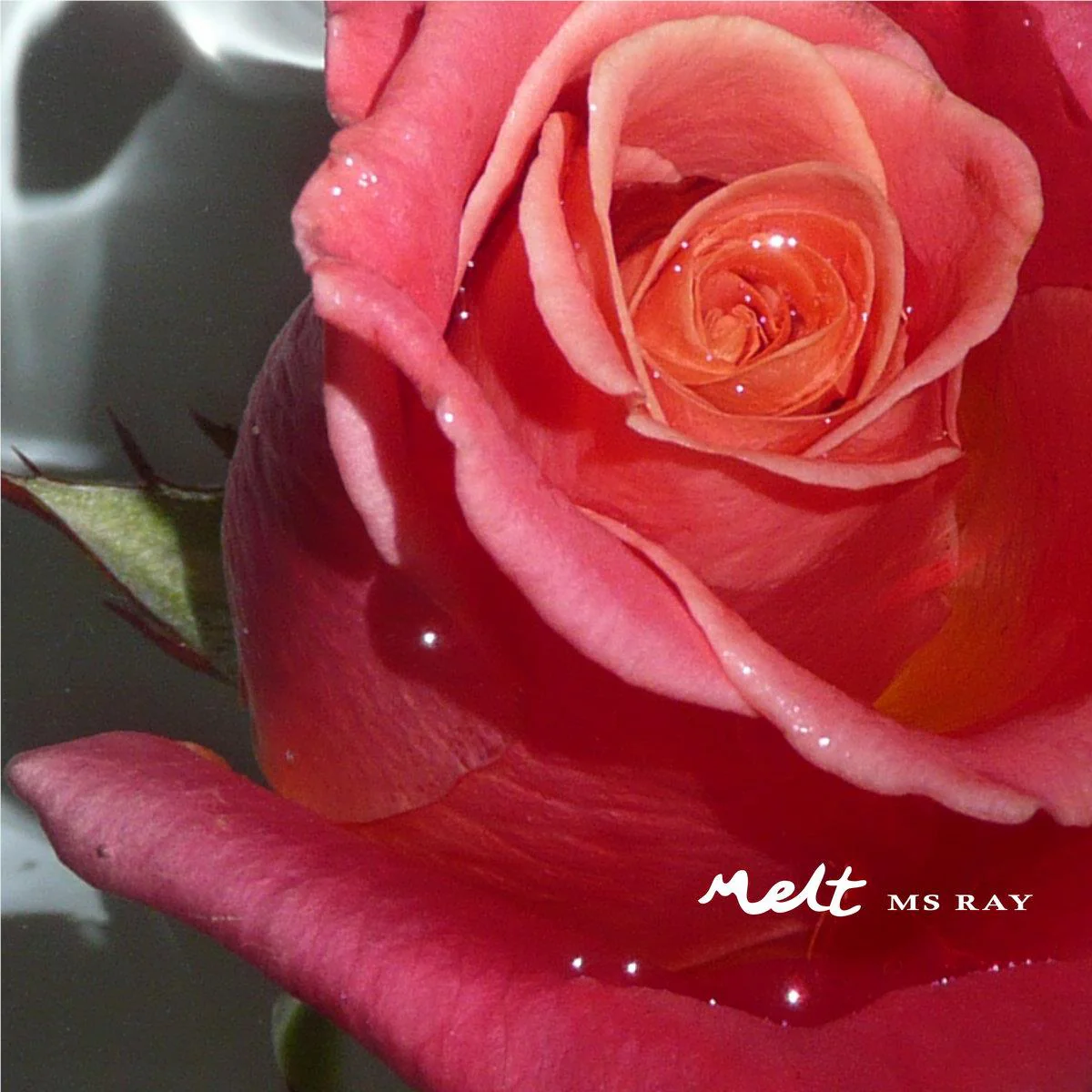Melt 12" (Vinyl) - Image 2