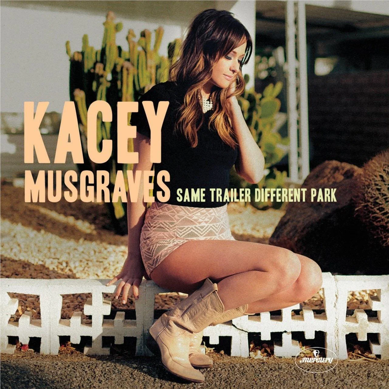 Same Trailer Different Park (Vinyl) - Image 2