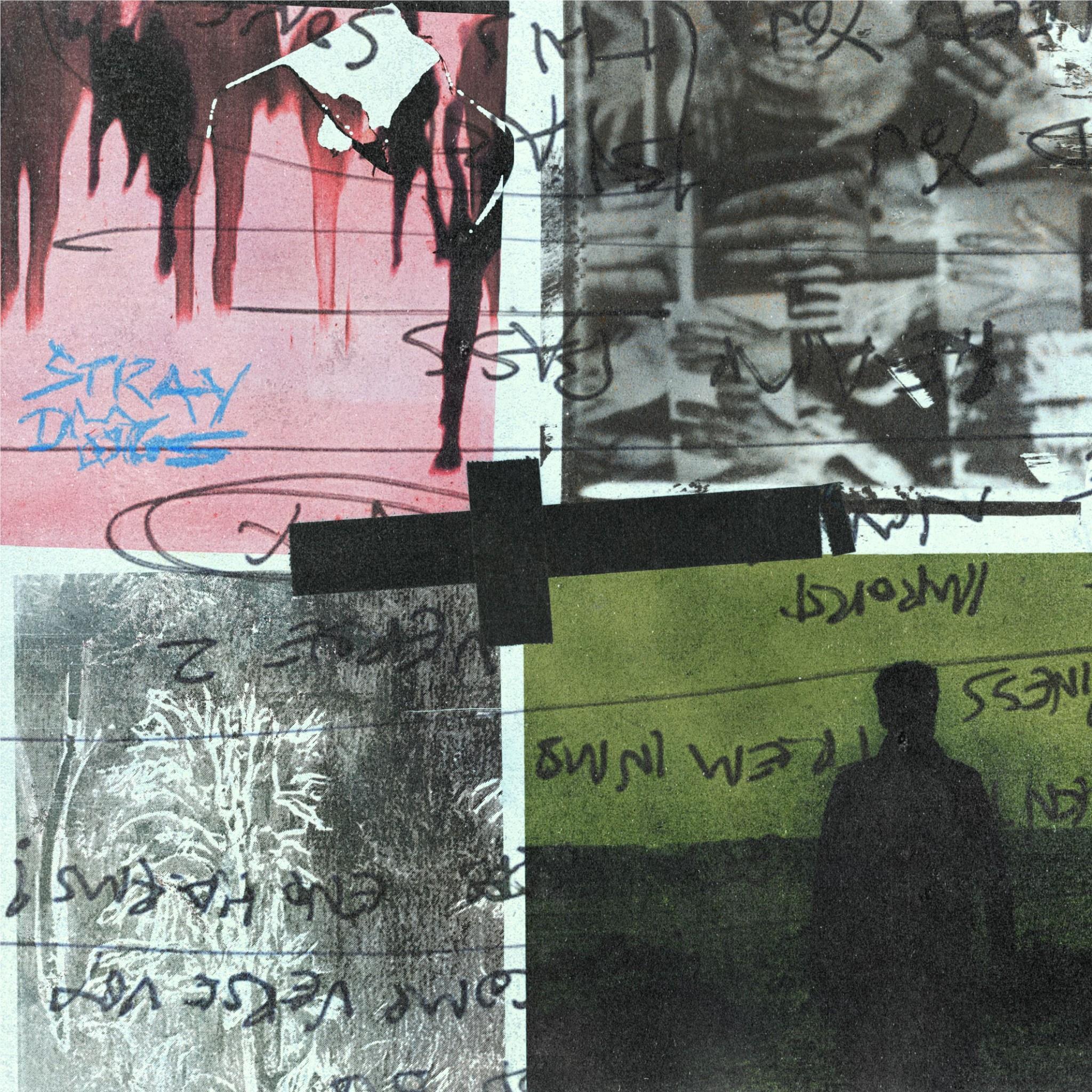 Stray Dogs (Vinyl) - Image 2