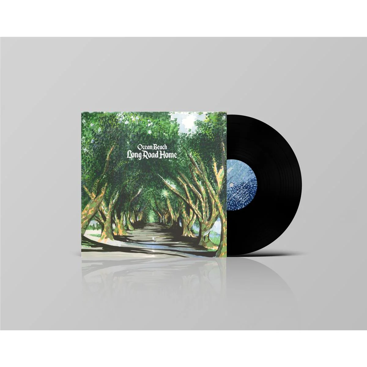 Long Road Home (Vinyl)