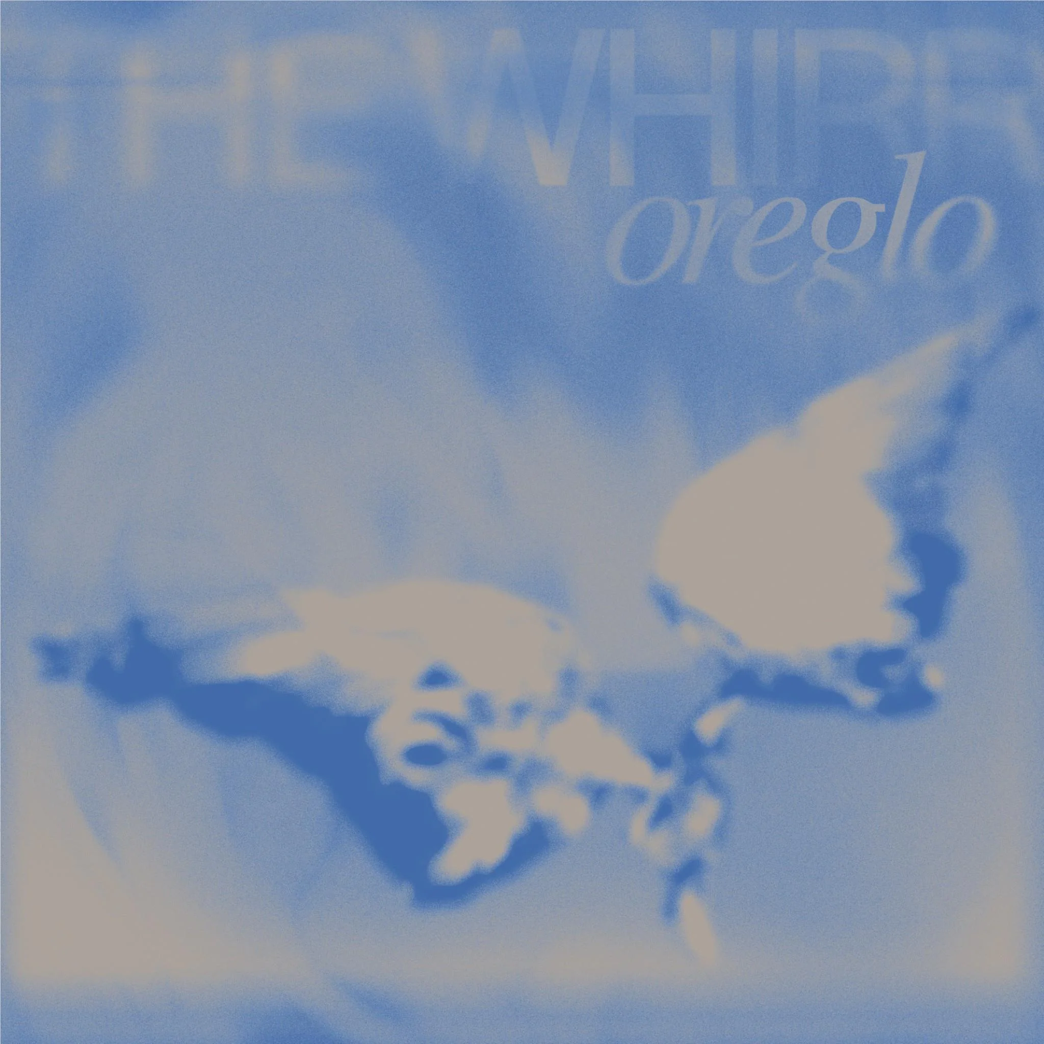 The Whirr (Vinyl) - Image 2