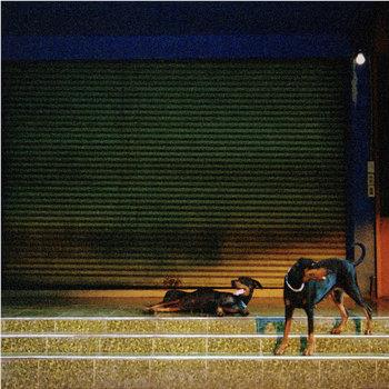 Pure Devotion (Vinyl) - Image 2