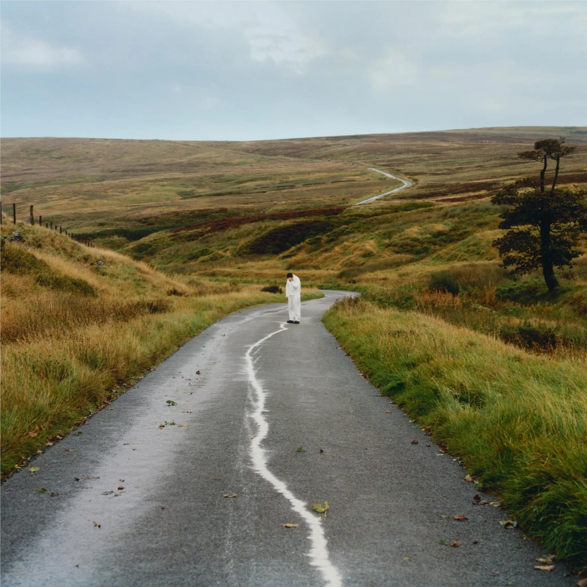 The Loop (Vinyl) - Image 2