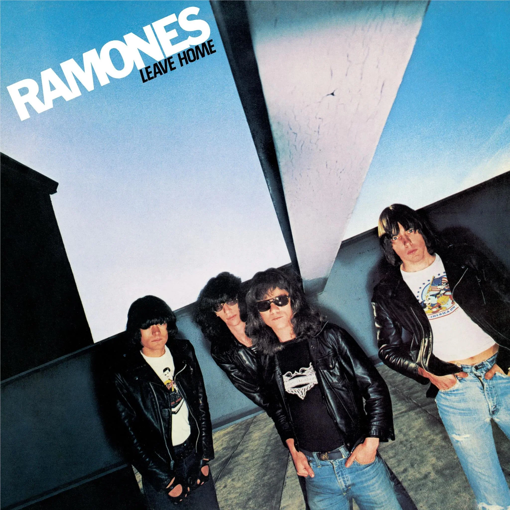 Leave Home (Vinyl) - Image 2