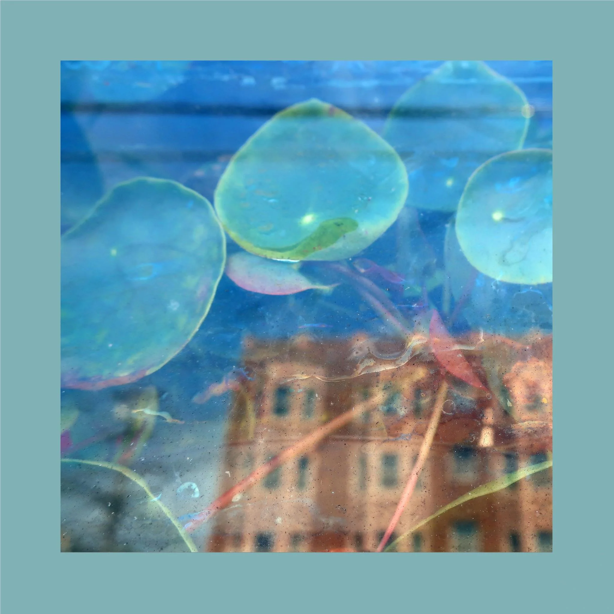 Acknowledge Kindness (Subconscious Window Pane Vinyl) - Image 2