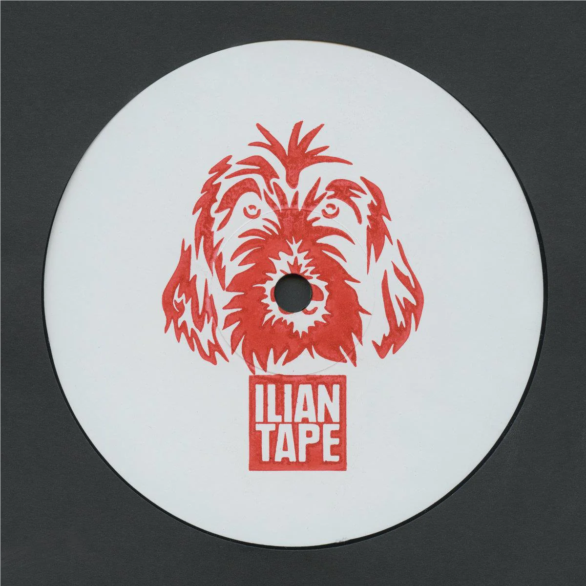 Bass Is The Space (12' Vvinyl)