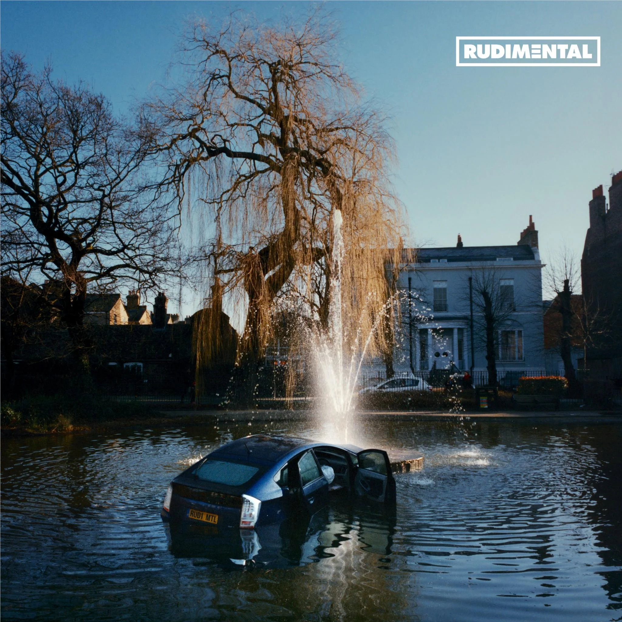 RUDIM3NTAL (Vinyl) - Image 2