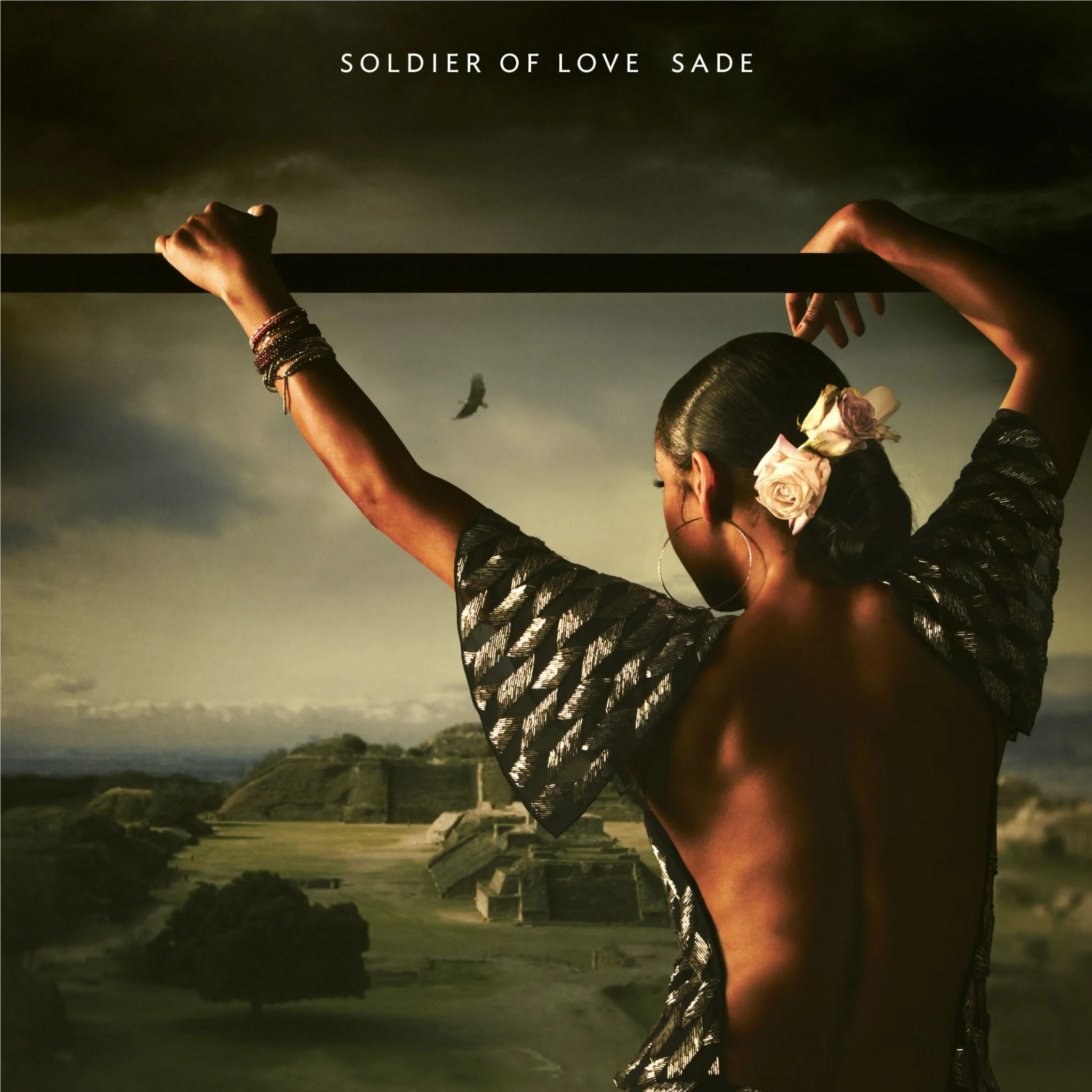 Soldiers Of Love (Vinyl) - Image 2