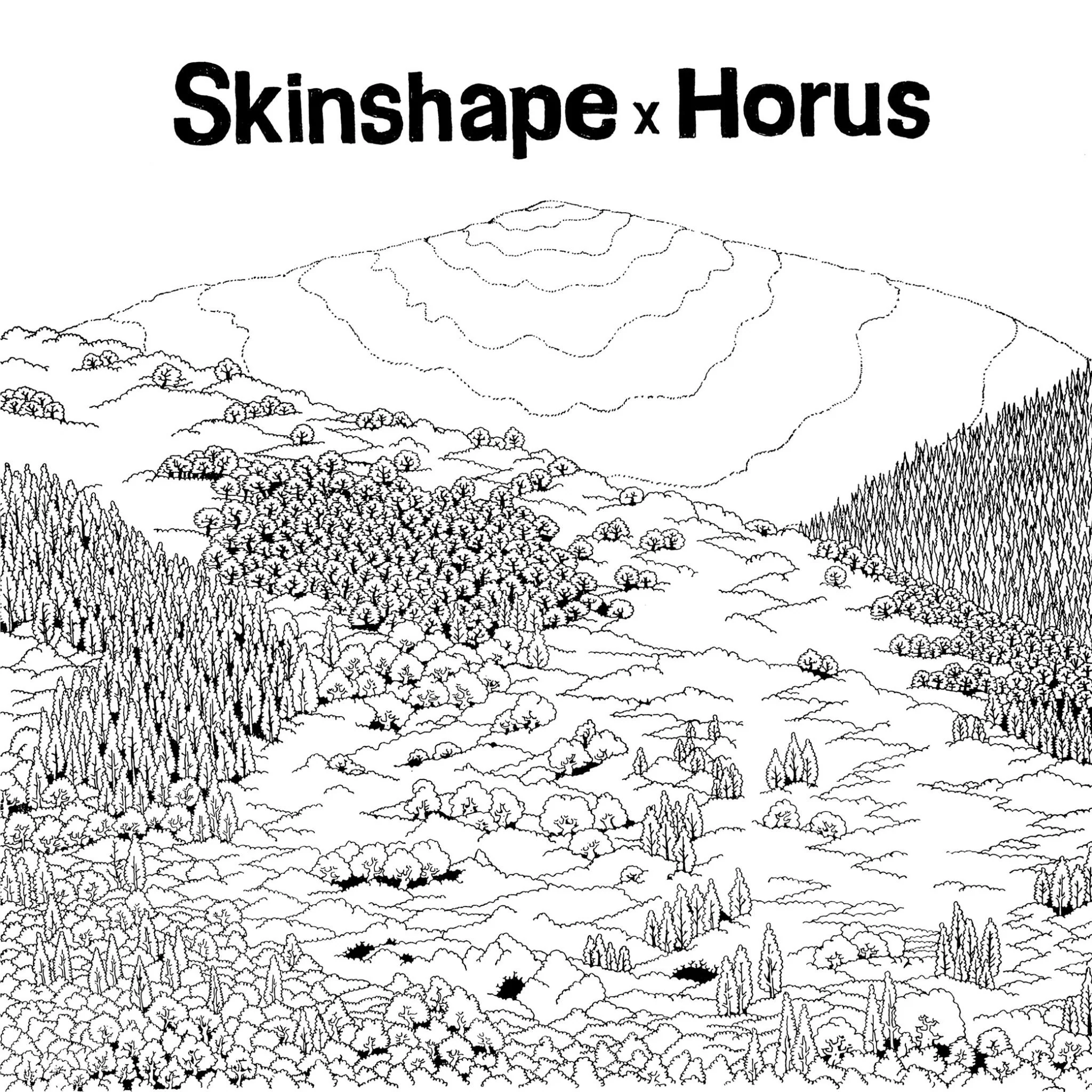 Skinshape X Horus (Vinyl)