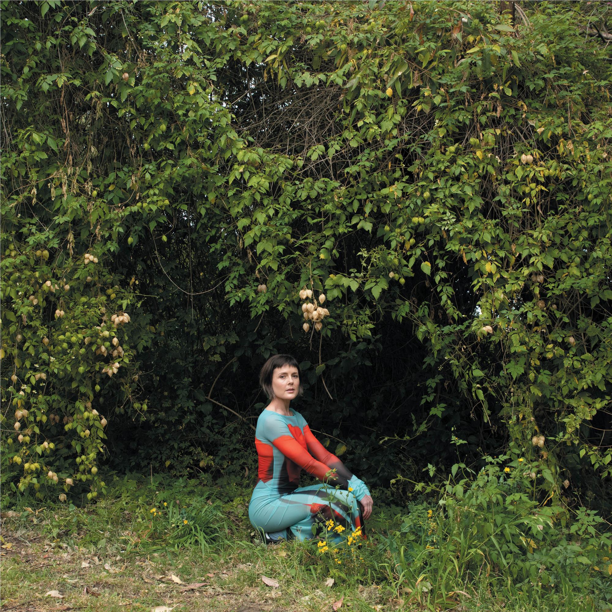 Molasses (Vinyl)