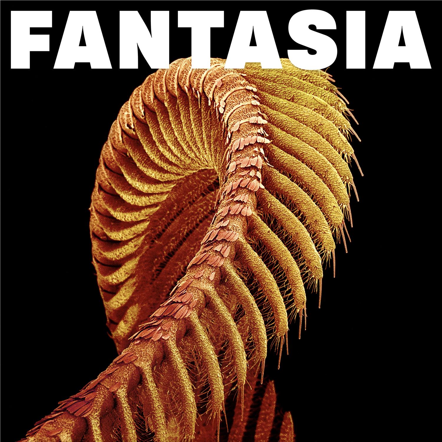 Fantasia ("Loser Edition" Mustard Yellow Vinyl) - Image 2
