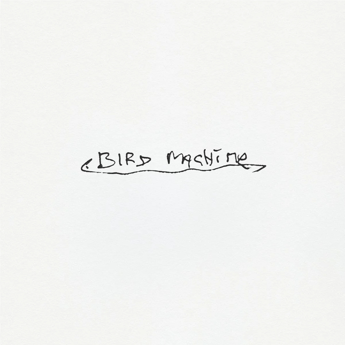 Bird Machine (Vinyl) - Image 2