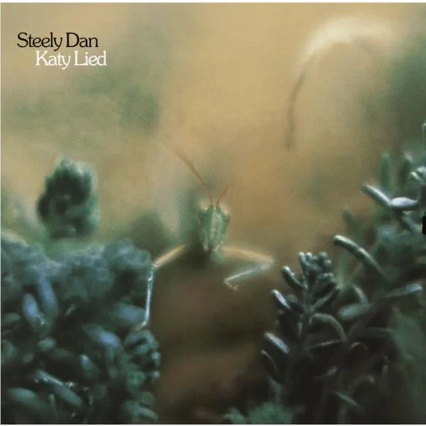 Katy Lied (Vinyl) - Image 2