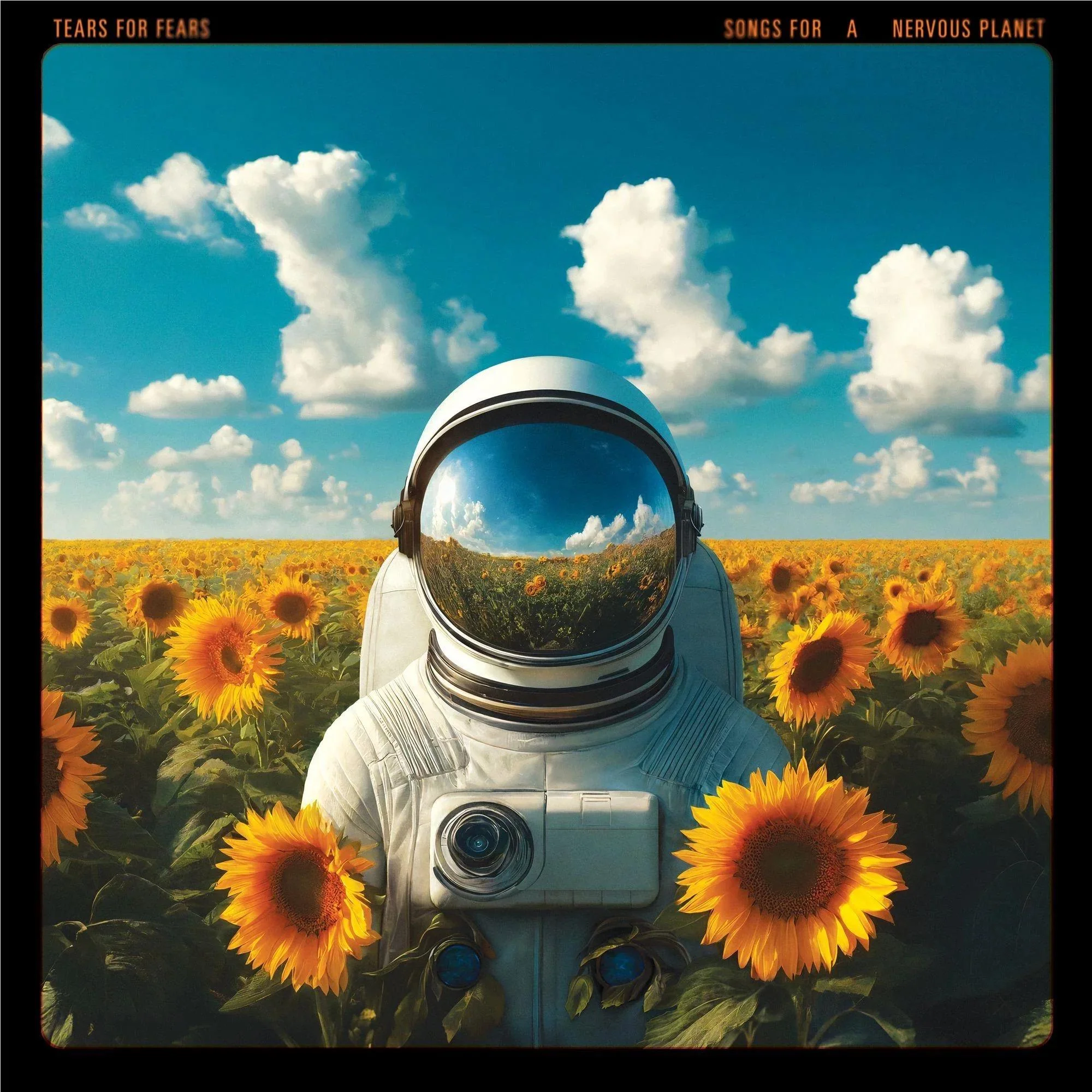 Songs For A Nervous Planet (Vinyl) - Image 2