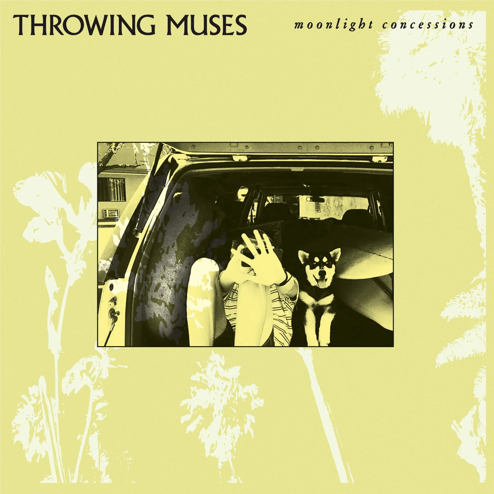 Moonlight Concessions (Clear Vinyl) - Image 2