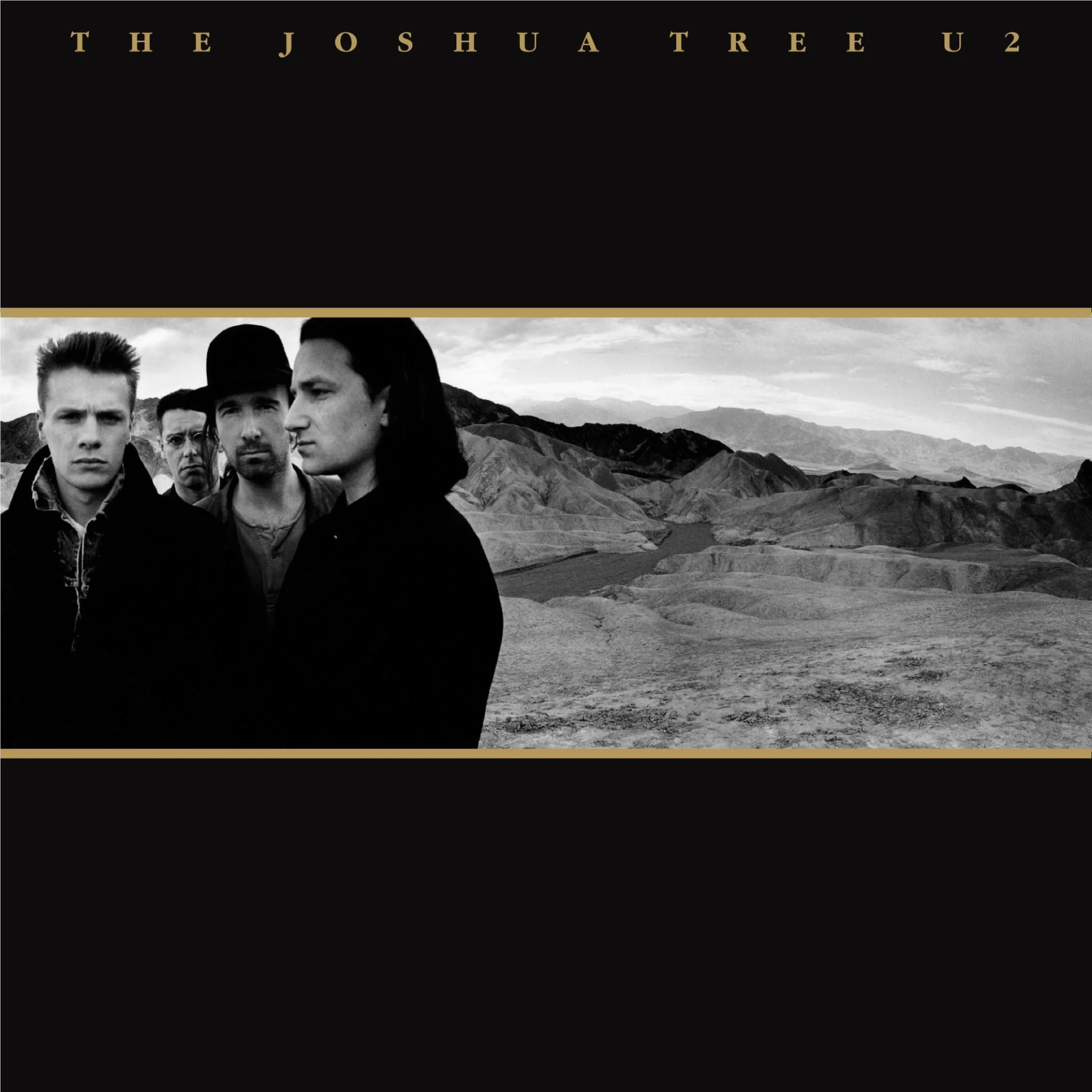 The Joshua Tree: 30th Anniversary (Vinyl)