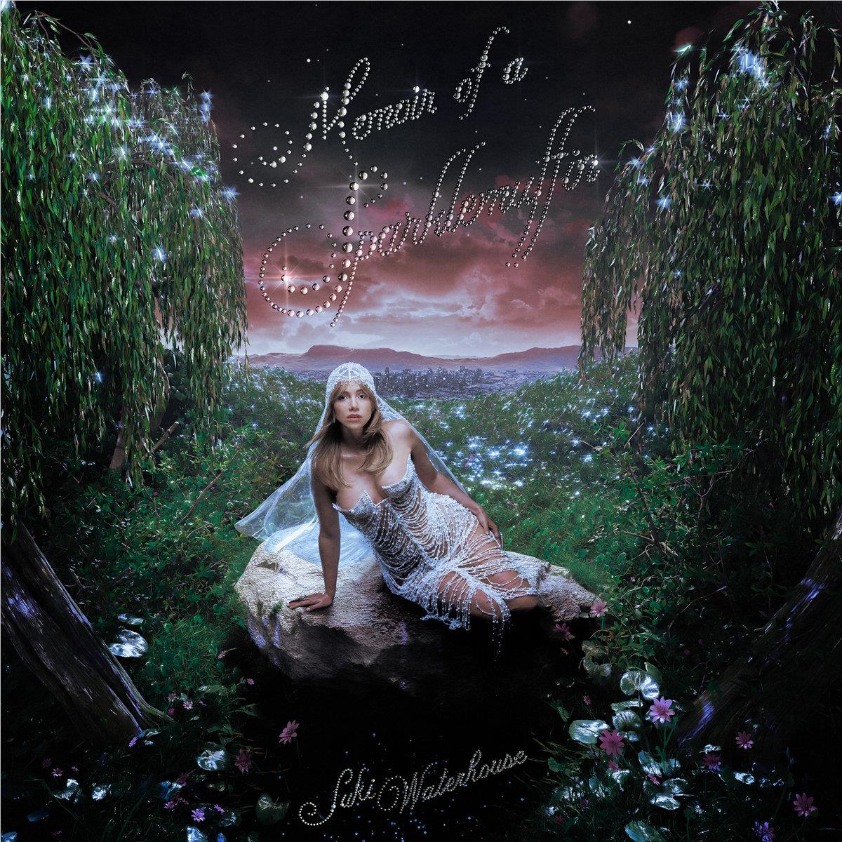Memoir Of A Sparklemuffin ('Loser Edition' Sparkle Starlight Vinyl) - Image 2