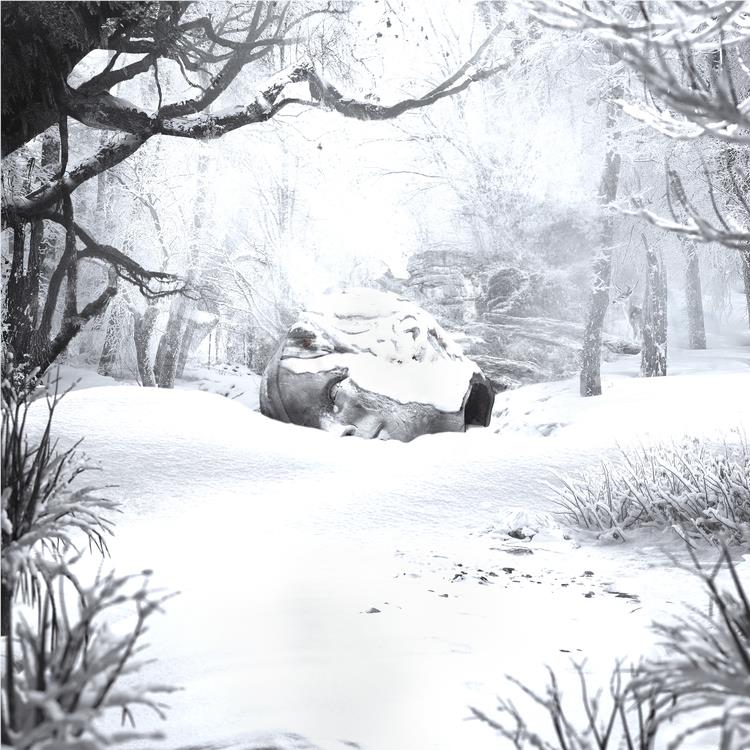 SZNZ: Winter (White Vinyl) - Image 2