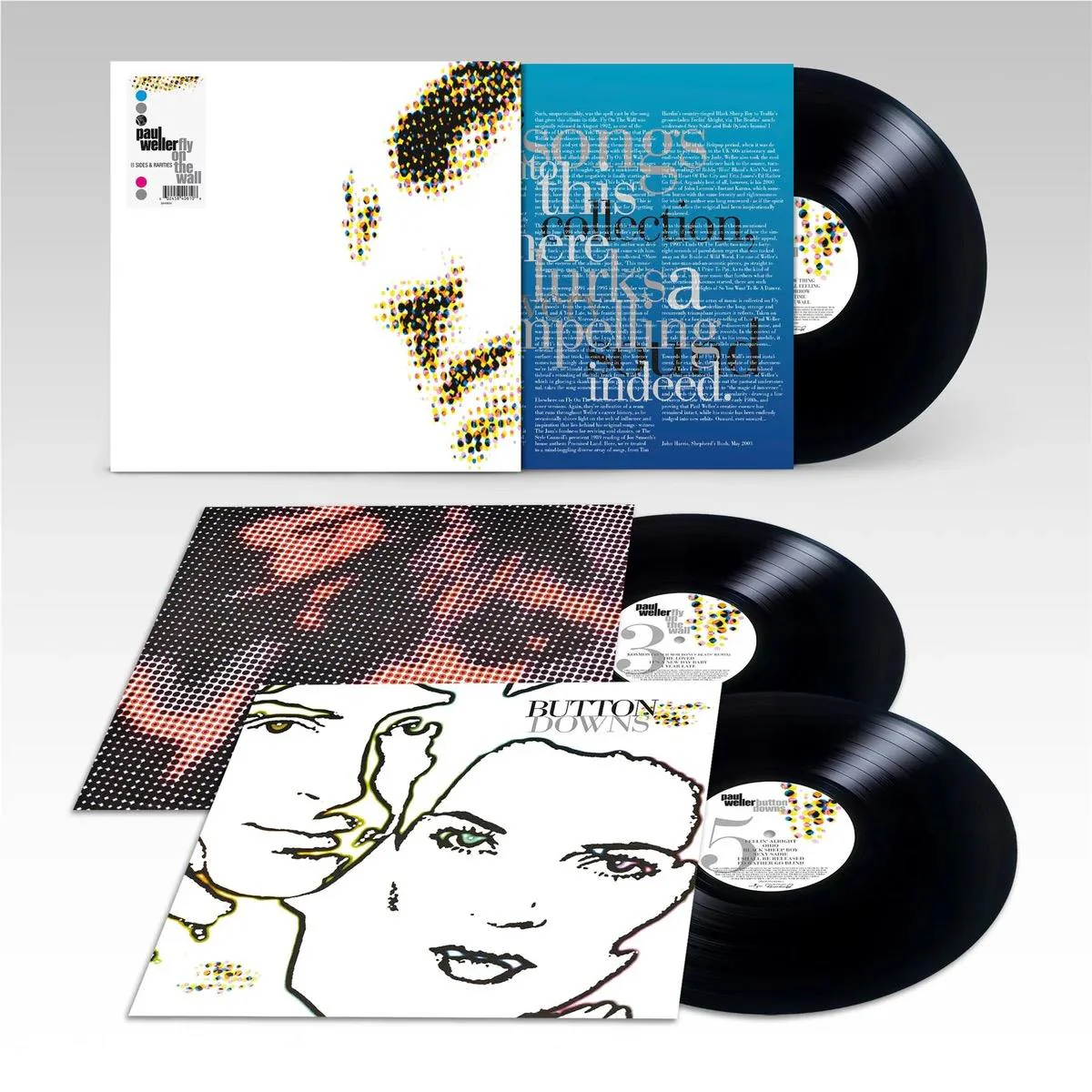 Fly On The Wall: B Sides & Rarities (Vinyll)