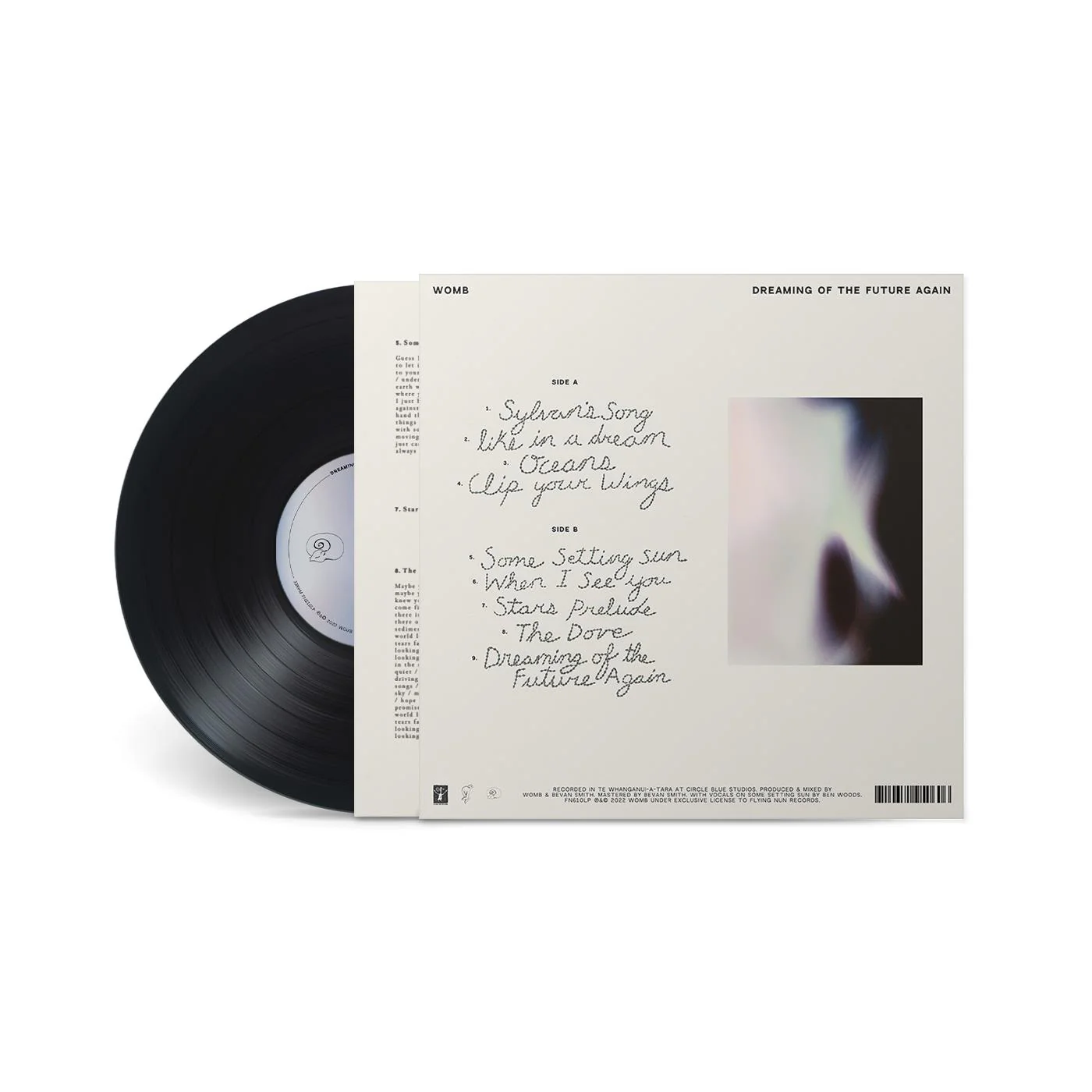 Dreaming Of The Future Again (Vinyl) - Image 3