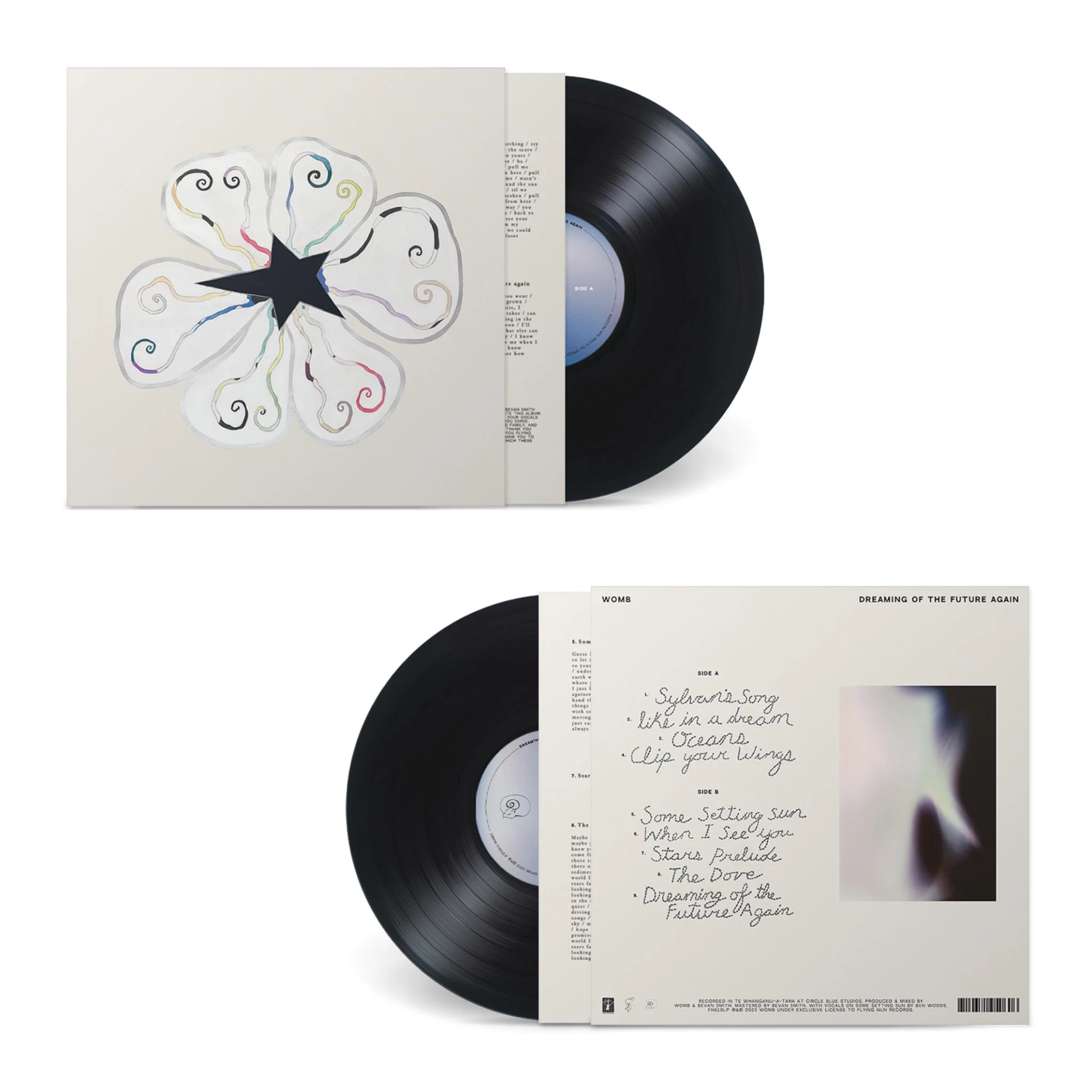 Dreaming Of The Future Again (Vinyl) - Image 4