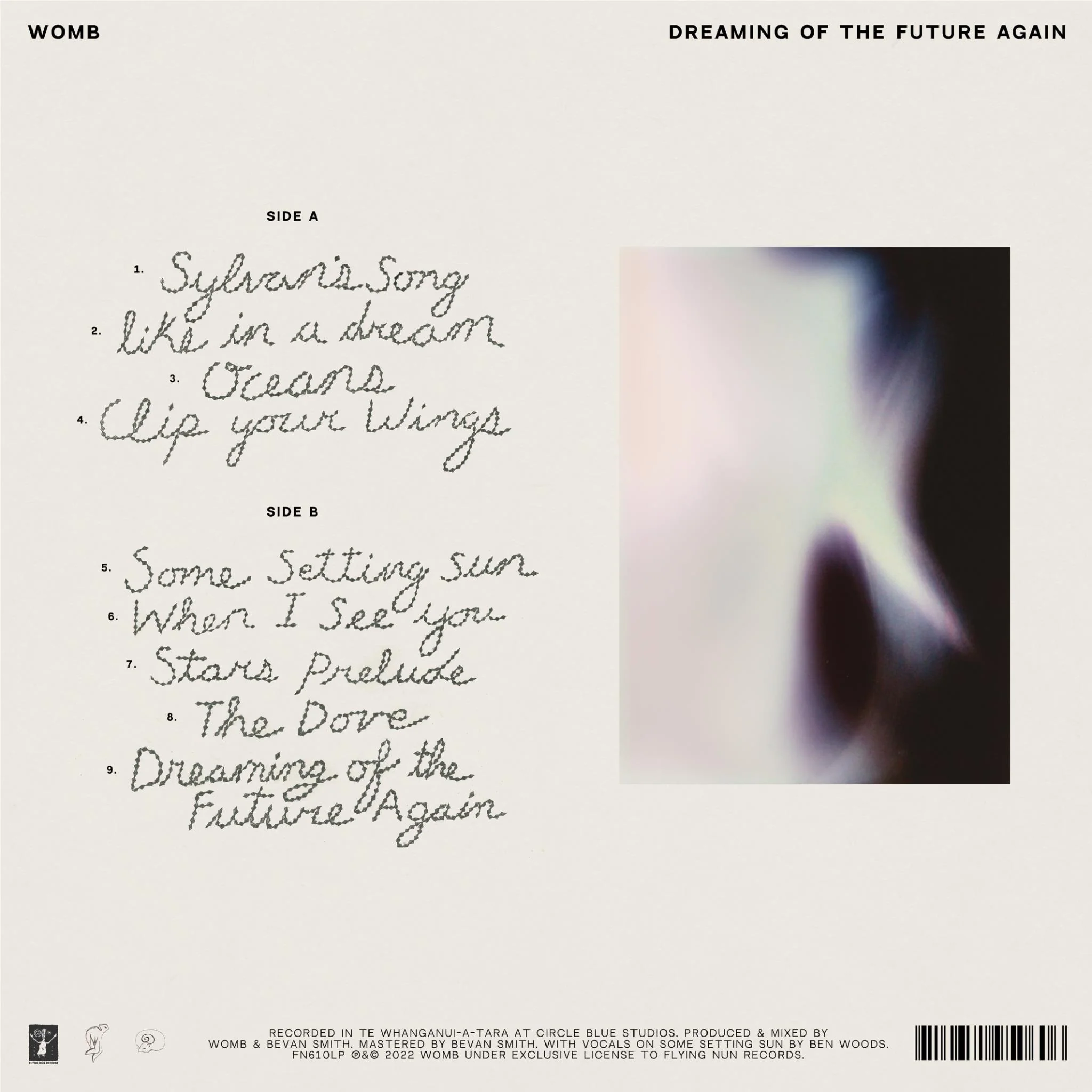 Dreaming Of The Future Again (Vinyl) - Image 5
