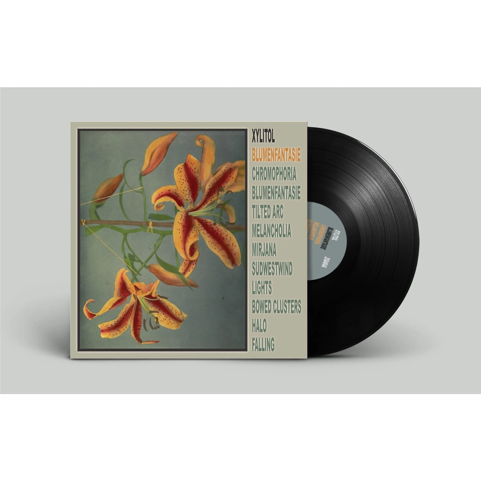 Blumenfantasie (Vinyl)