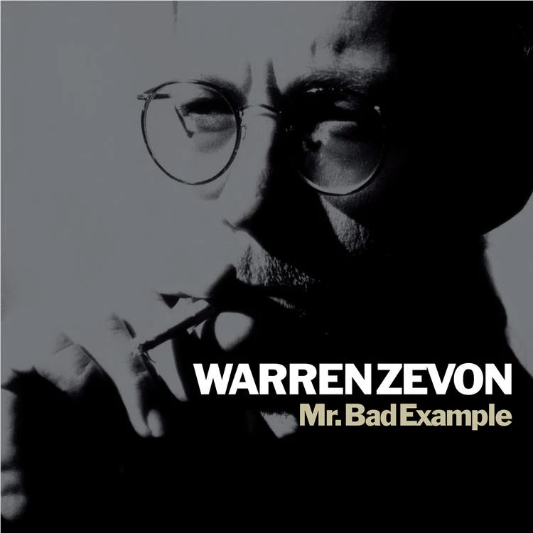 Mr. Bad Example (Vinyl) - Image 2