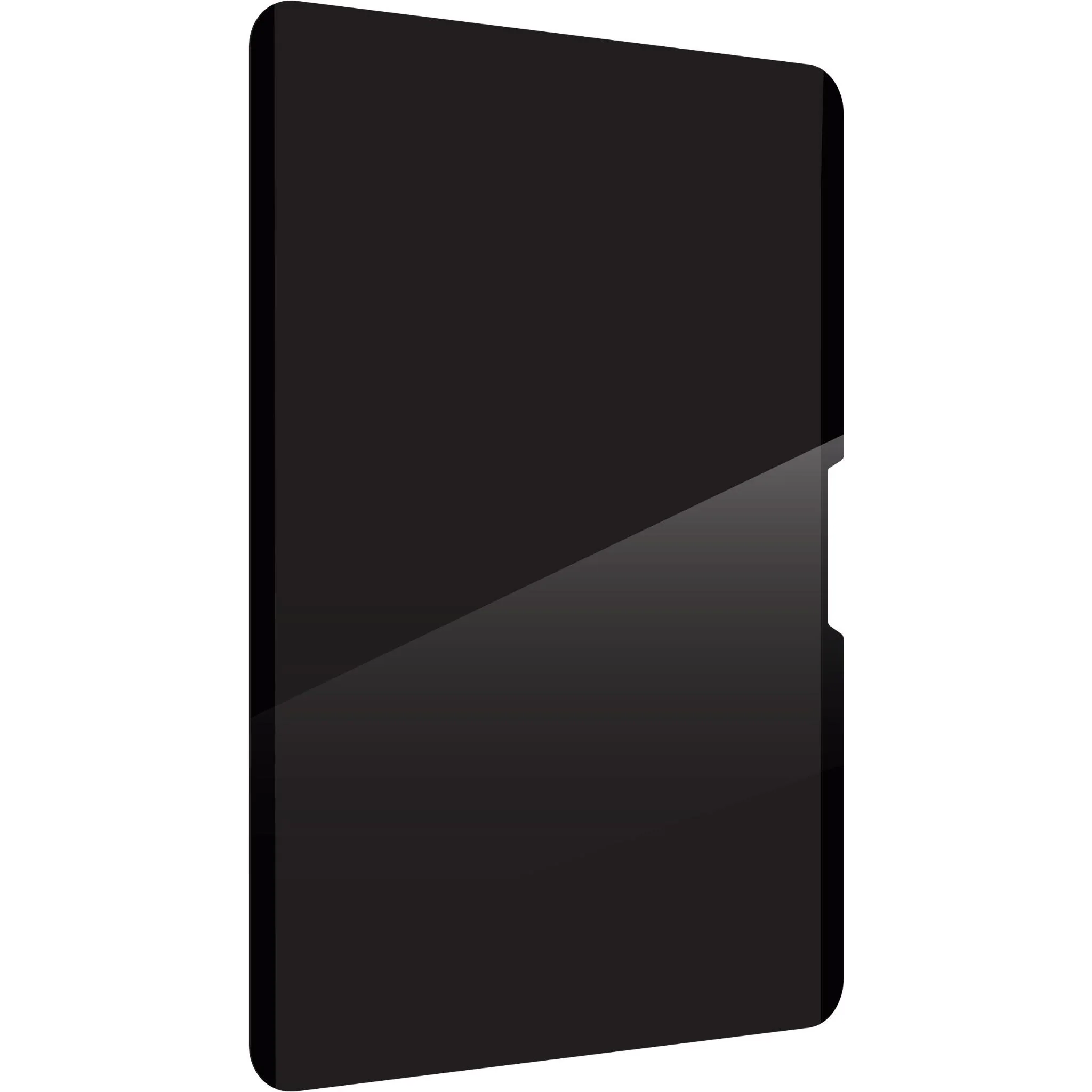 ZAGG Removable 4-Way Privacy Filter for Apple iPad A16 & iPad 10th Gen 10.9" - Image 3