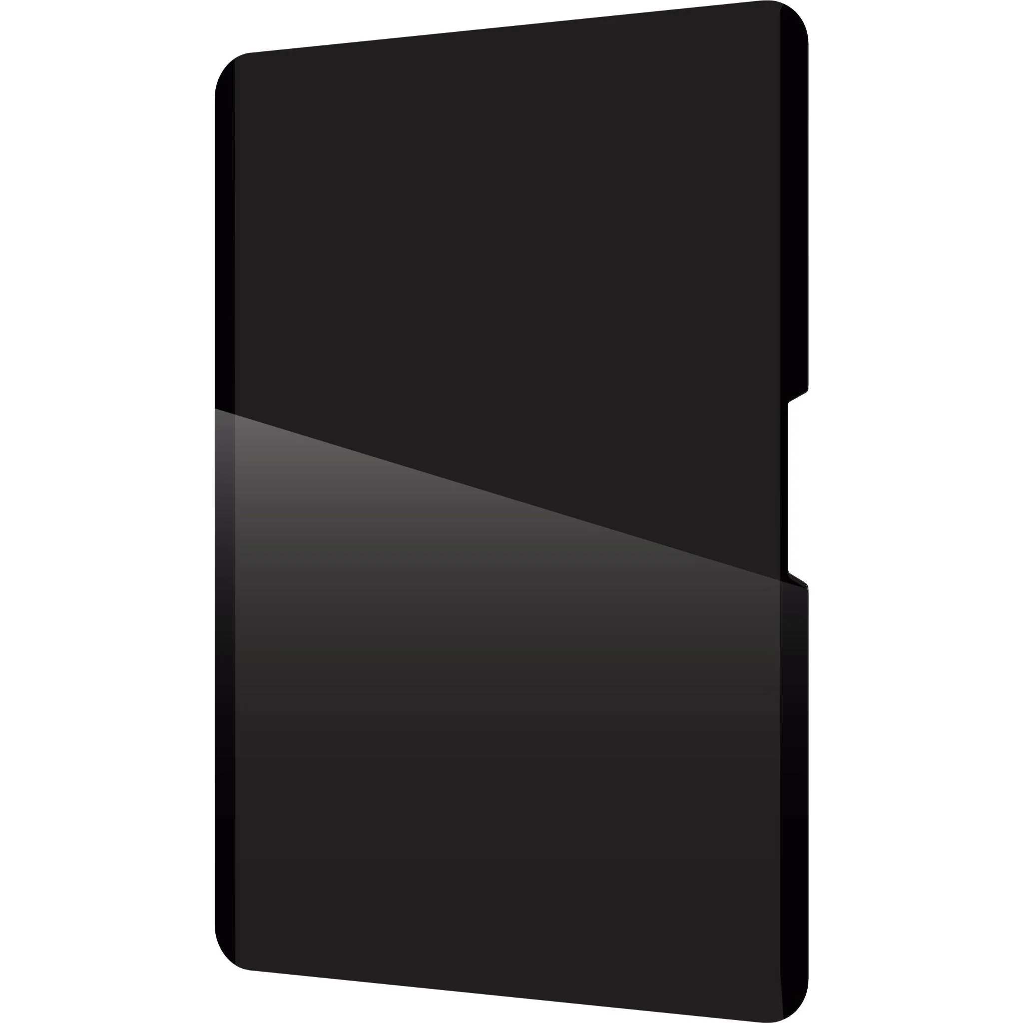 ZAGG Removable 4-Way Privacy Filter for Apple iPad A16 & iPad 10th Gen 10.9" - Image 4
